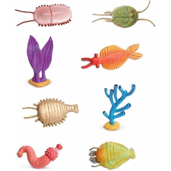 Safari Ltd Safari Ltd. | Figures de jeu La vie cambrienne