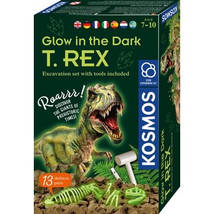 Kosmos | Glow in the Dark T-Rex