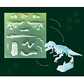 Kosmos Kosmos | Glow in the Dark T-Rex