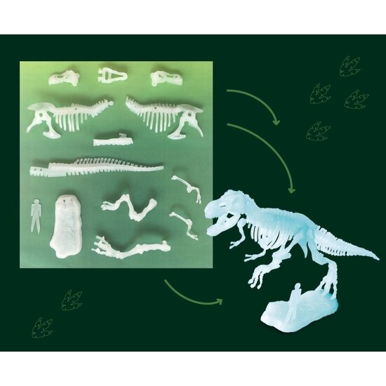 Kosmos Kosmos | Glow in the Dark T-Rex