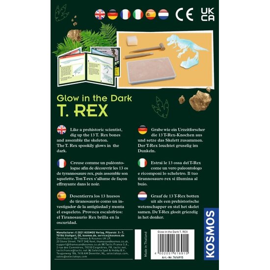 Kosmos Kosmos | Glow in the Dark T-Rex