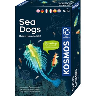Kosmos | Sea Dogs