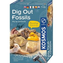 Kosmos | Dig Out Fossils