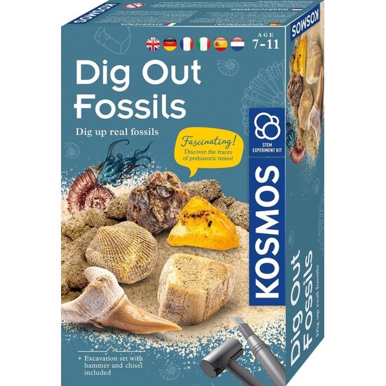 Kosmos Kosmos | Dig Out Fossils