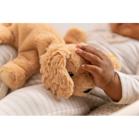 Steiff Steiff | Floppy Lumpi Dog 20cm Light Brown