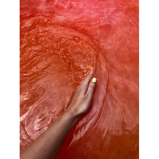 Sensus Lotus Sensus Lotus | Jouet de bain Boule de Noël Romantic Red