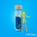 Petit Boum Petit Boum | Bouteille sensorielle Le Petit Prince