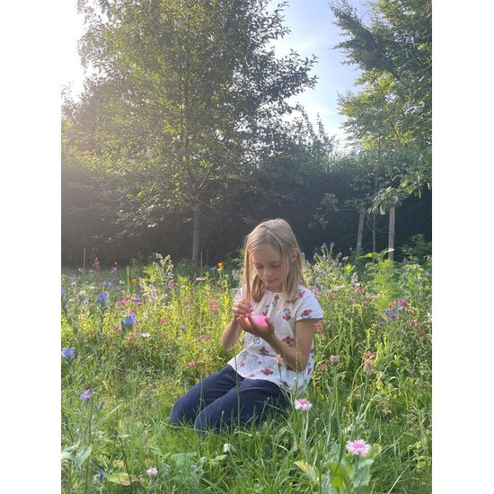 Crazy Aaron's Crazy Aaron's | Pâte à modeler Blooming Botanicals