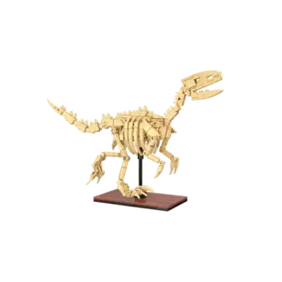 CaDA | Creative Series - Dinosaur Fossils Velociraptor 256 pièces