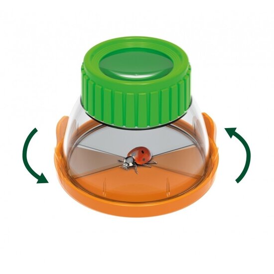 Buki Buki | Terrarium