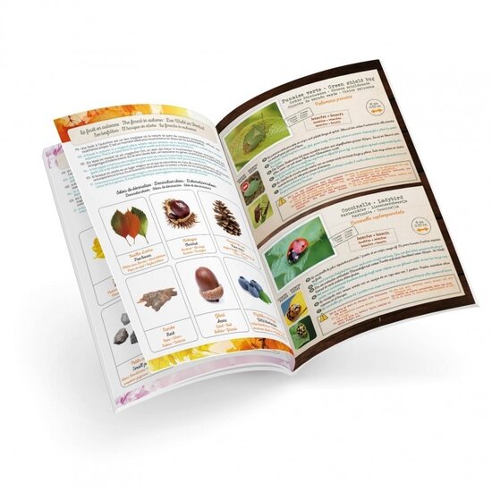 Buki Buki | Terrarium