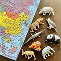 Safari Ltd Animaux jouets de l'Antarctique Safari Ltd