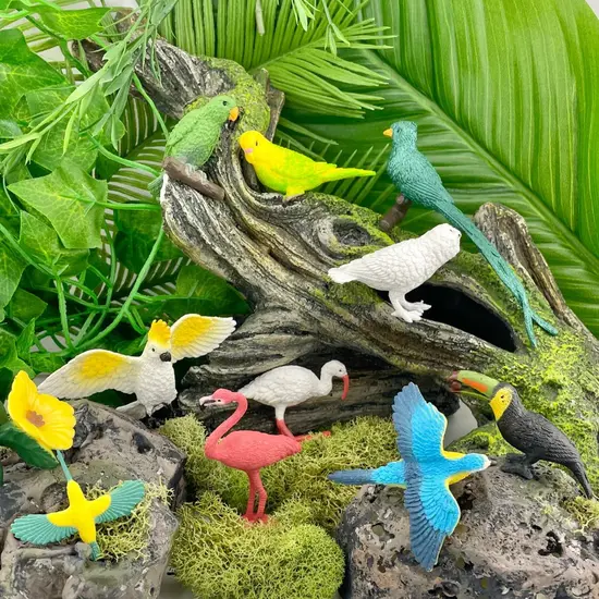 Safari Ltd Safari Ltd. | Figurines de jeu Oiseaux exotiques