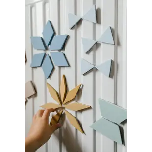 Moes Play | Magnetic Puzzle