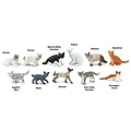 Safari Ltd Safari Ltd. | Figurines Chats domestiques