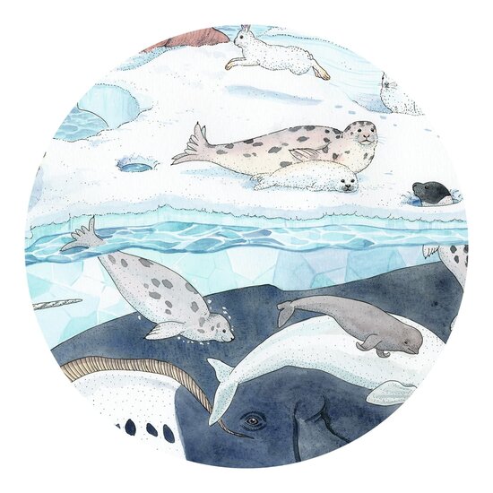 Djeco Djeco | Puzzle Doux monde polaire 54 pièces