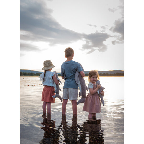 Senger Naturwelt Senger Naturwelt | Cuddly Animal Shark Small