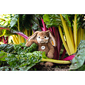 Steiff Steiff | Bommel Dangling Rabbit 28 cm Light Brown