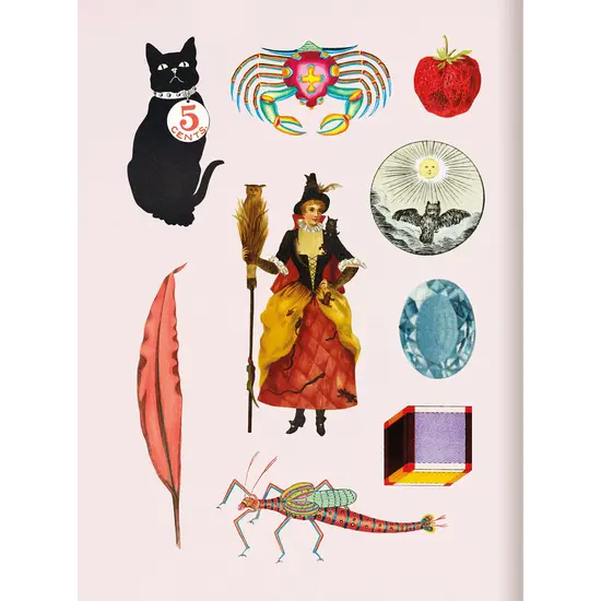 New Mags New Mags | Le livre d'autocollants anciens Bibliophilie