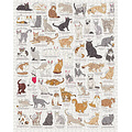 New Mags New Mags | Puzzle 1000 pièces pour les amoureux des chats