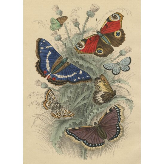 New Mags New Mags | Puzzle Papillons dansants John Derian 750 pièces