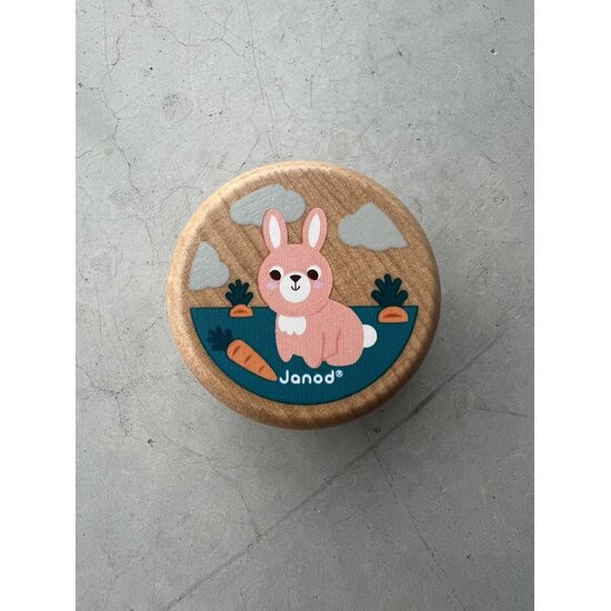 Janod speelgoed Janod | Boîte à dents Animaux Assortiment