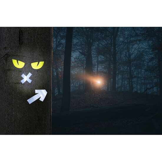 Haba Haba | Terra Kids Mini-lampe de poche avec autocollants