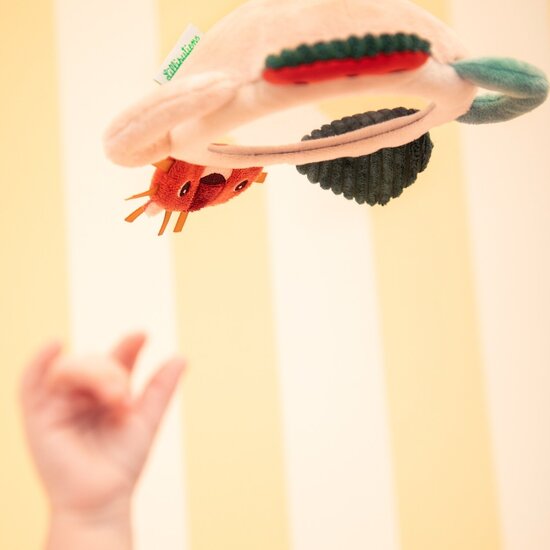 Lilliputiens Lilliputiens | Jack Miroir