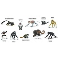 Safari Ltd Safari Ltd. | Figurines de jeu Primates