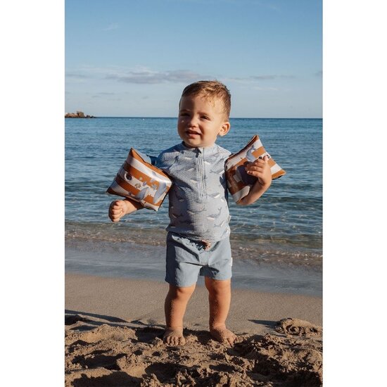 Little Dutch Little Dutch | Brassards Ocean World