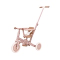 Little Dutch Little Dutch | Loopfiets/Driewieler 4 in 1 Fairy Flower Roze