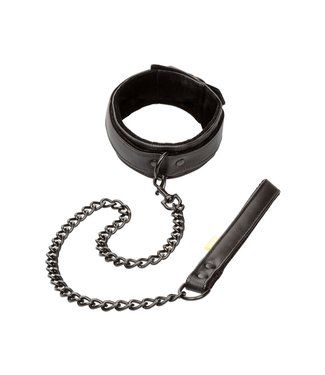 CalExotics Boundless Collar & Leash