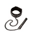 CalExotics Boundless Collar & Leash