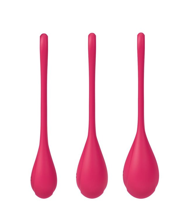 Satisfyer Yoni Power 1 Training Set Red