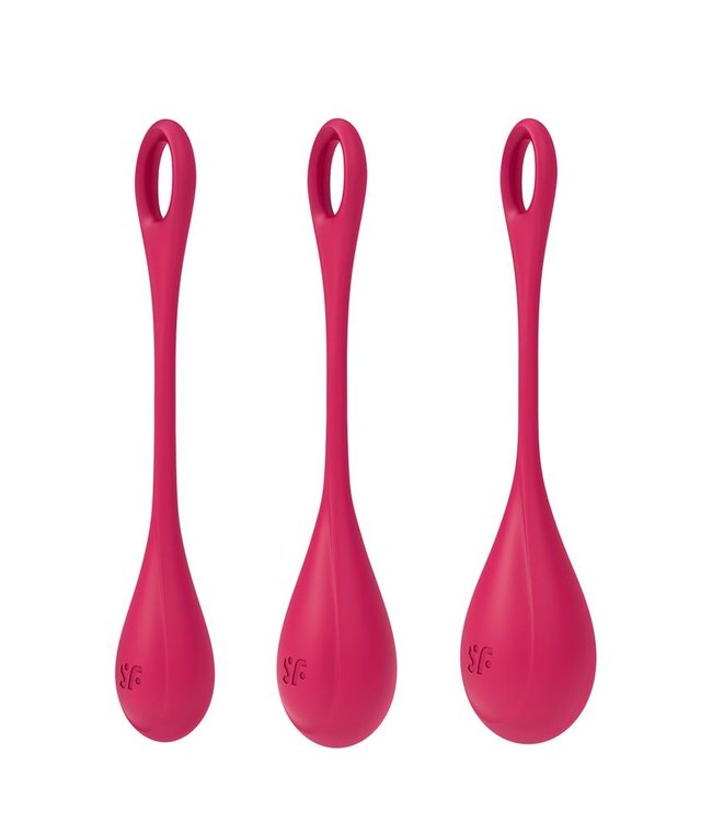 Satisfyer Yoni Power 1 Training Set Red