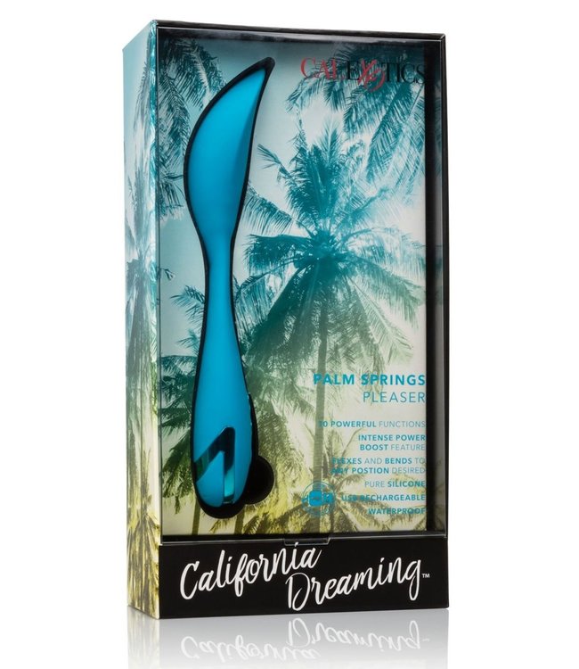 Palm Springs Pleaser