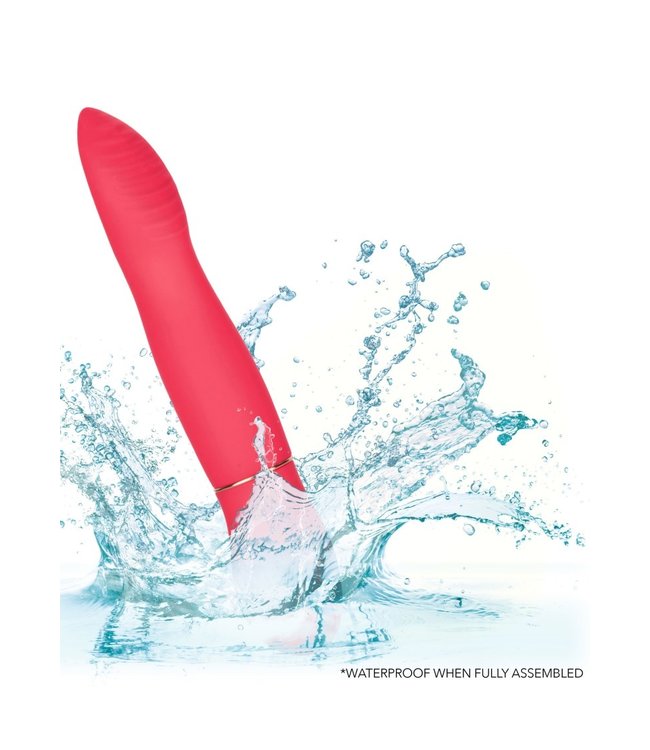 In Touch Dynamic Trio