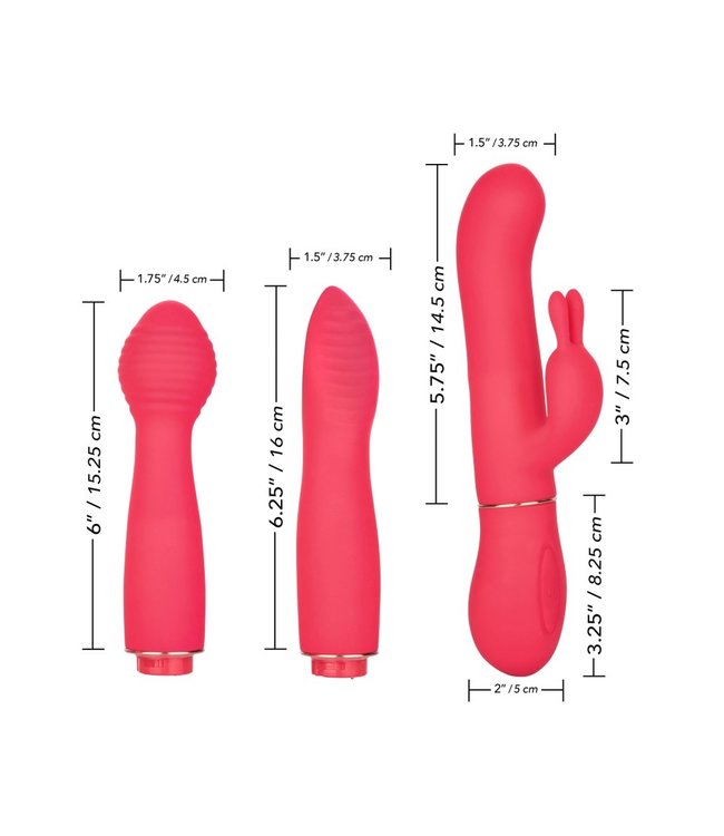 In Touch Dynamic Trio