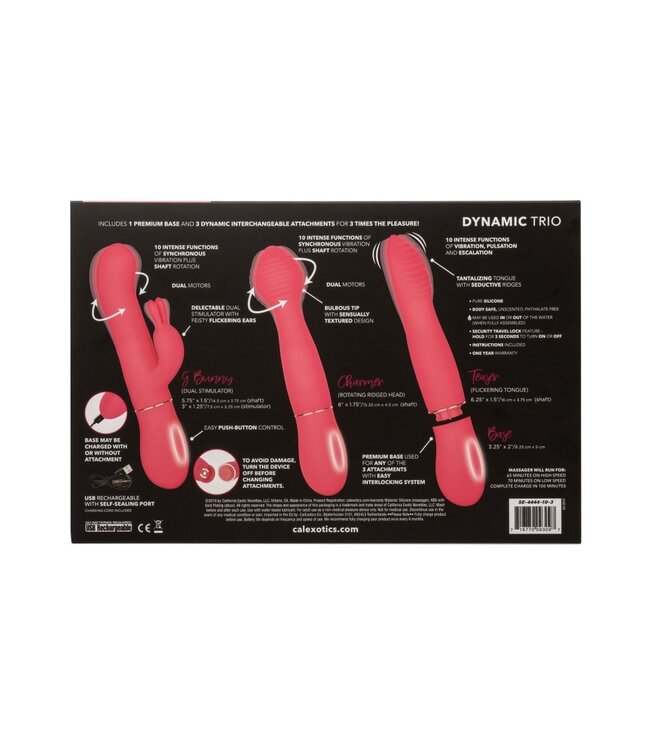 In Touch Dynamic Trio