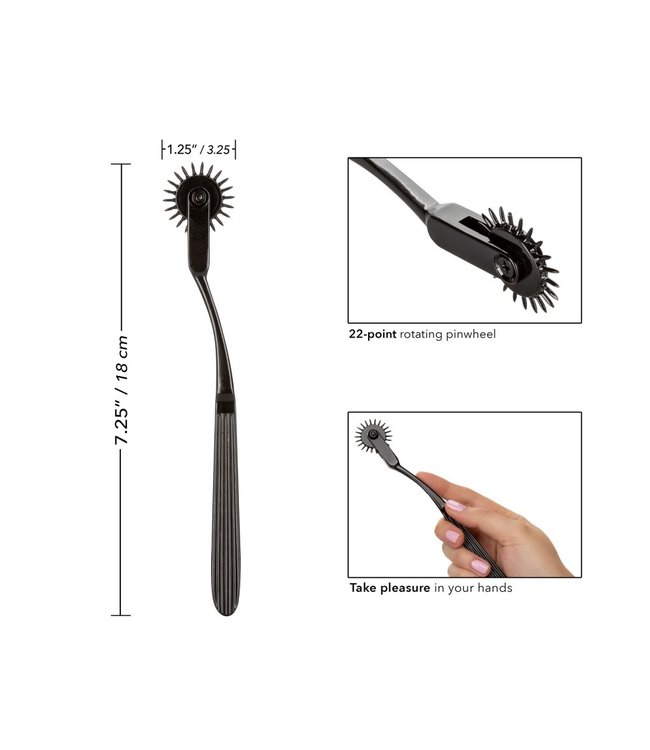 SCANDAL PLEASURE WHEEL