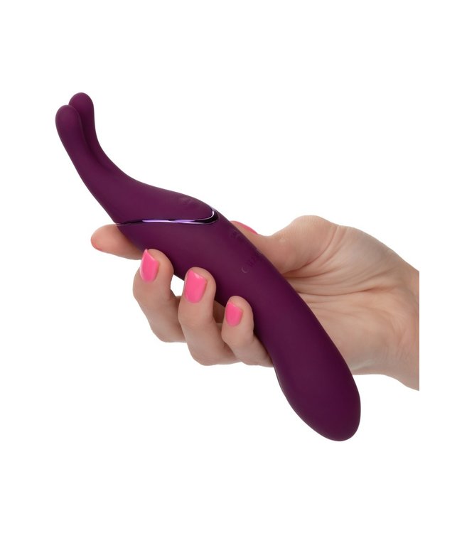 Tempt And Tease Sass