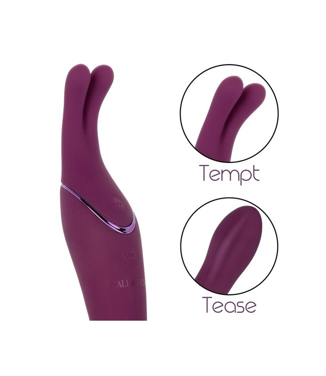 Tempt And Tease Sass