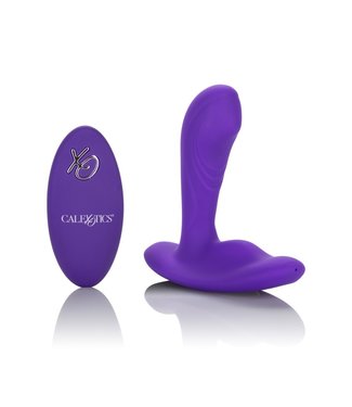 CalExotics Remote Pinpoint Pleaser