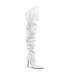 Pleaser Overknee Boots - White