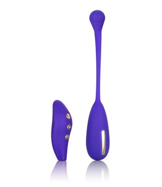 CalExotics Impulse Intimate E-Stimulator Remote Kegel Exerciser