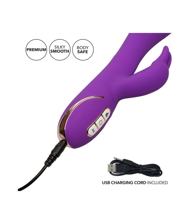 Heated Rotating G Rabbit