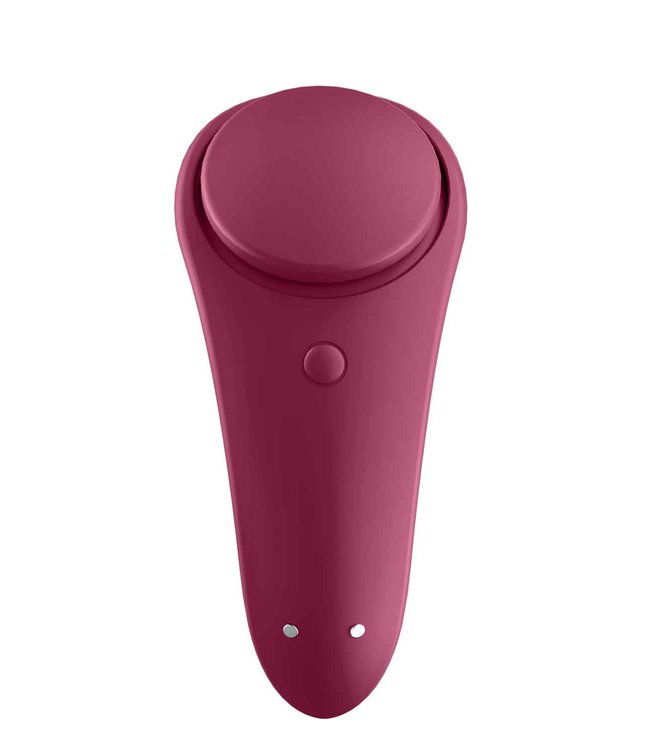 Sexy Secret Panty Vibrator Met App