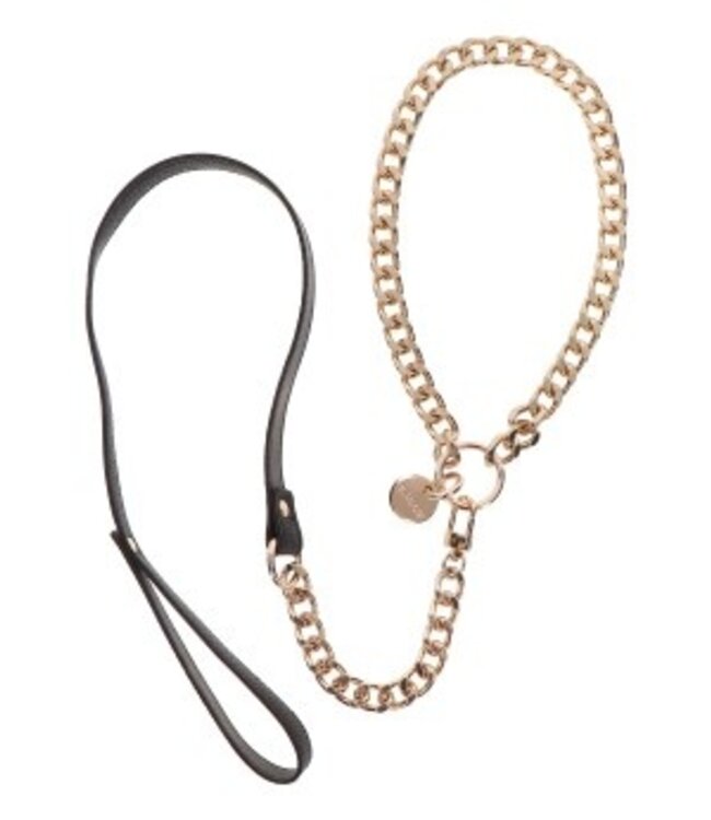 Dona Statement Collar and Leash