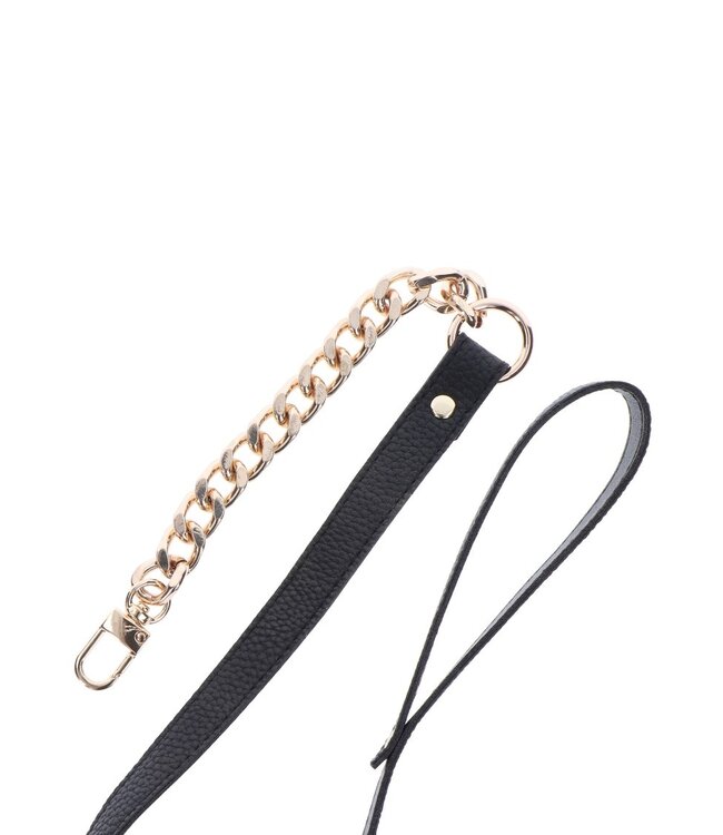 Statement Leash
