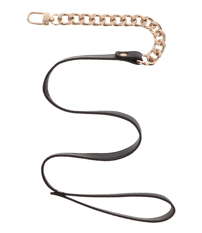 Statement Leash
